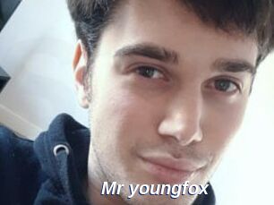 Mr_youngfox