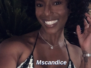 Mscandice