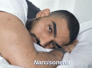 Narcisonefer