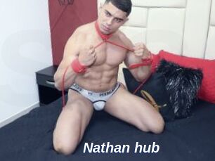 Nathan_hub