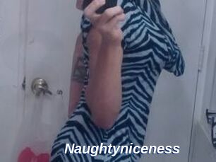 Naughtyniceness
