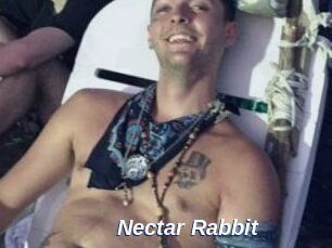 Nectar_Rabbit
