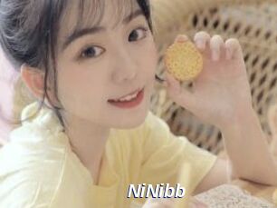 NiNibb
