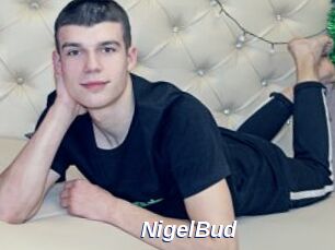 NigelBud