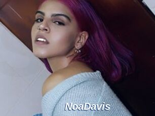 NoaDavis