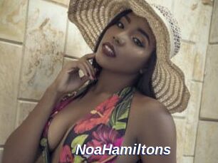 NoaHamiltons