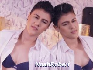 NoahRobert