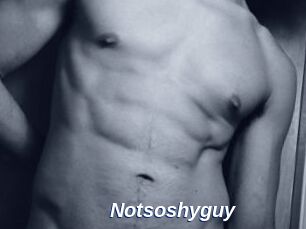 Notsoshyguy