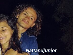 Nattandjunior