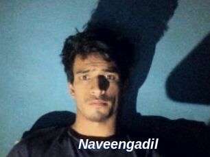 Naveengadil
