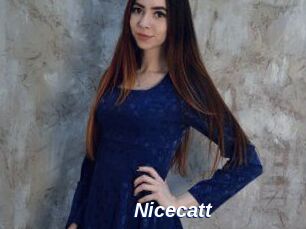 Nicecatt
