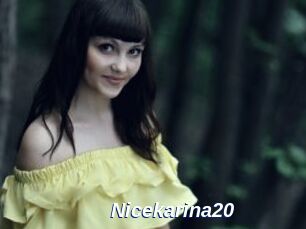 Nicekarina20