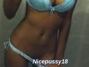 Nicepussy18