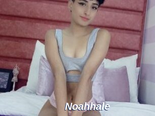 Noahhale