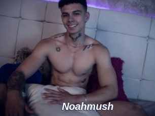 noahmush Safer Sex