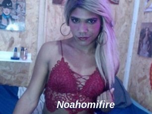 Noahomifire
