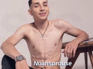 Noahsprouse