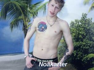 Noakarter