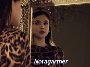 Noragartner