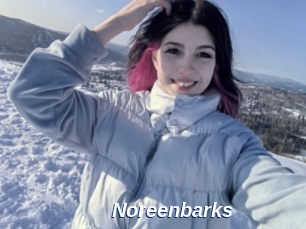 Noreenbarks