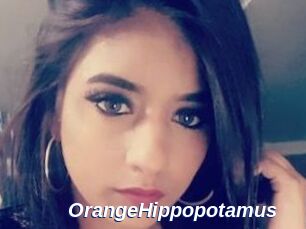 OrangeHippopotamus