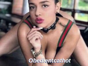 Obedientcathot