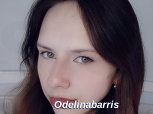 odelinabarris Safer Sex
