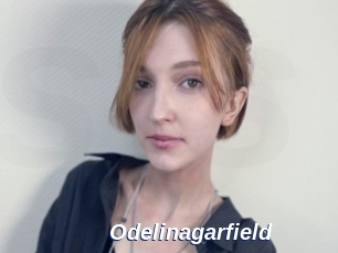 Odelinagarfield