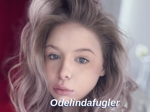 Odelindafugler
