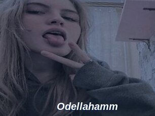 Odellahamm