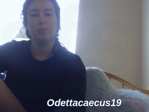 Odettacaecus19