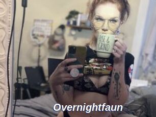 Overnightfaun