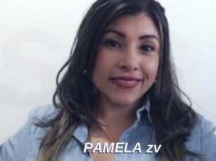 PAMELA_zv