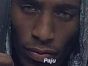 Paju