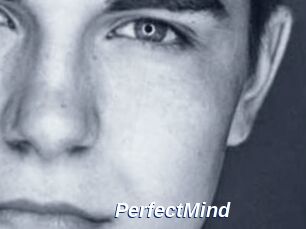 PerfectMind