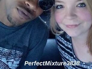 PerfectMixture3828