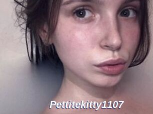 Pettitekitty1107