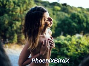 PhoenixBirdX