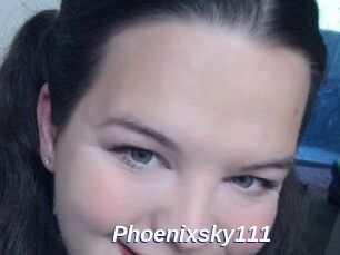 Phoenixsky111