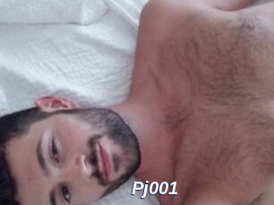 Pj001