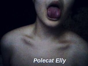 Polecat_Elly
