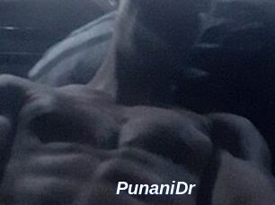 PunaniDr