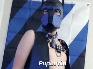 PupLupin