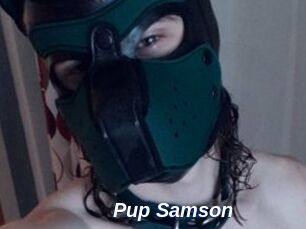 Pup_Samson