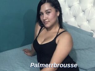 Palmerrbrousse