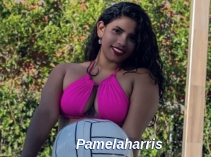 pamelaharris Safer Sex