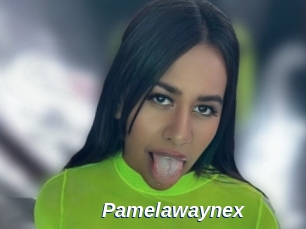 Pamelawaynex