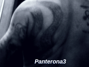 Panterona3