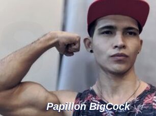 Papillon_BigCock