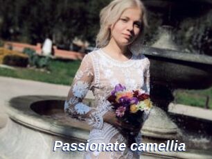Passionate_camellia